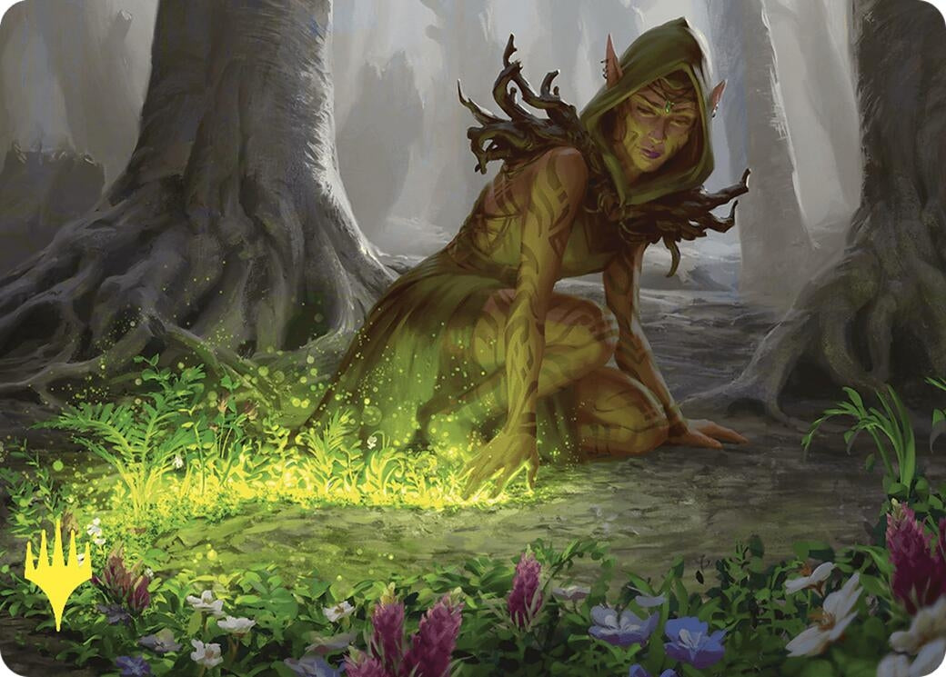 Image for Skyshroud Claim Art Card (Gold-Stamped) (25) - Magic: The Gathering