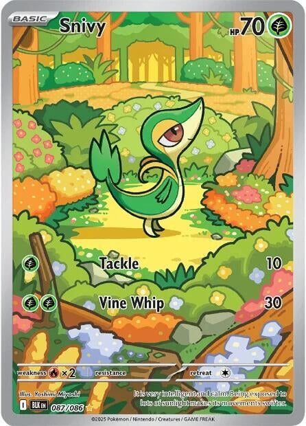Snivy (087/086) (BLK)