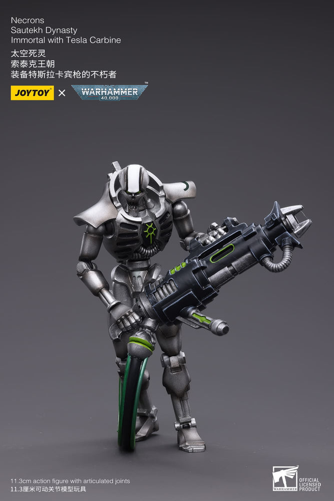 JoyToy - Warhammer 40000 -  Necrons Sautekh Dynasty Immortal with Tesla Carbine