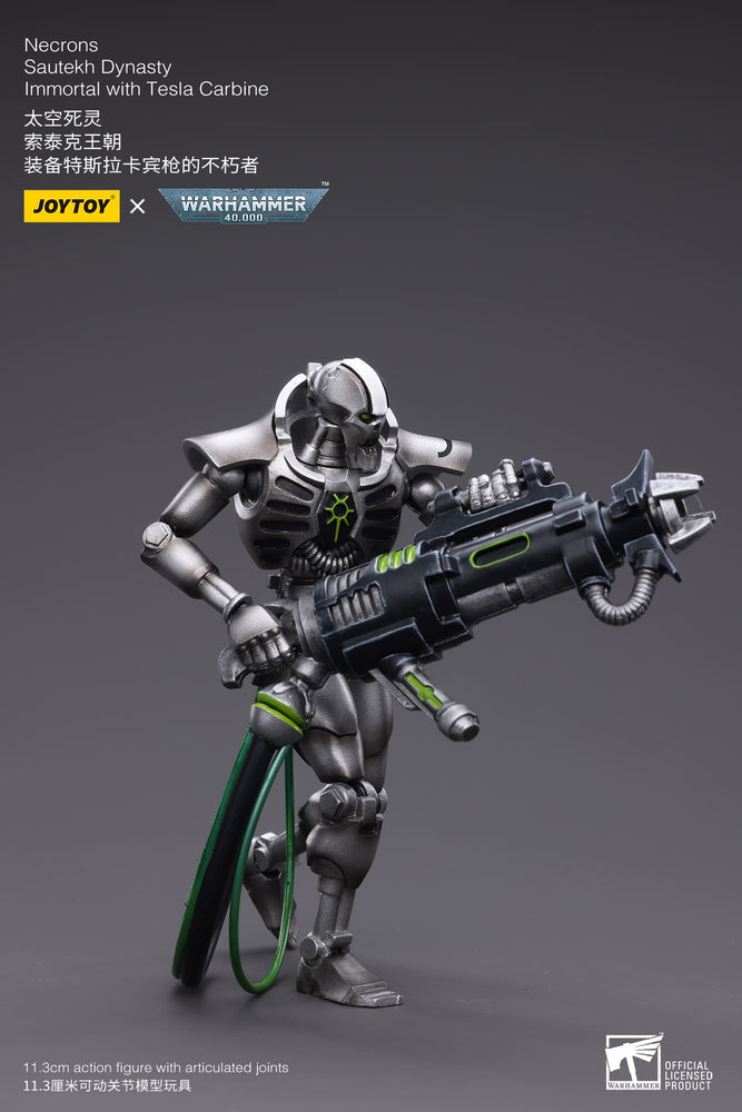 JoyToy - Warhammer 40000 -  Necrons Sautekh Dynasty Immortal with Tesla Carbine