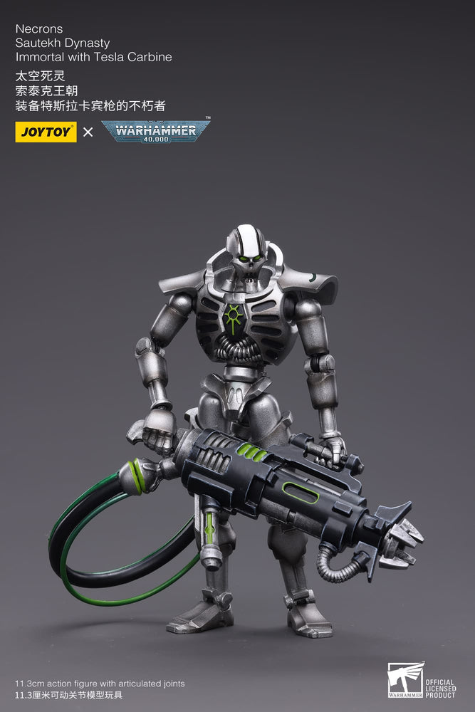 JoyToy - Warhammer 40000 -  Necrons Sautekh Dynasty Immortal with Tesla Carbine