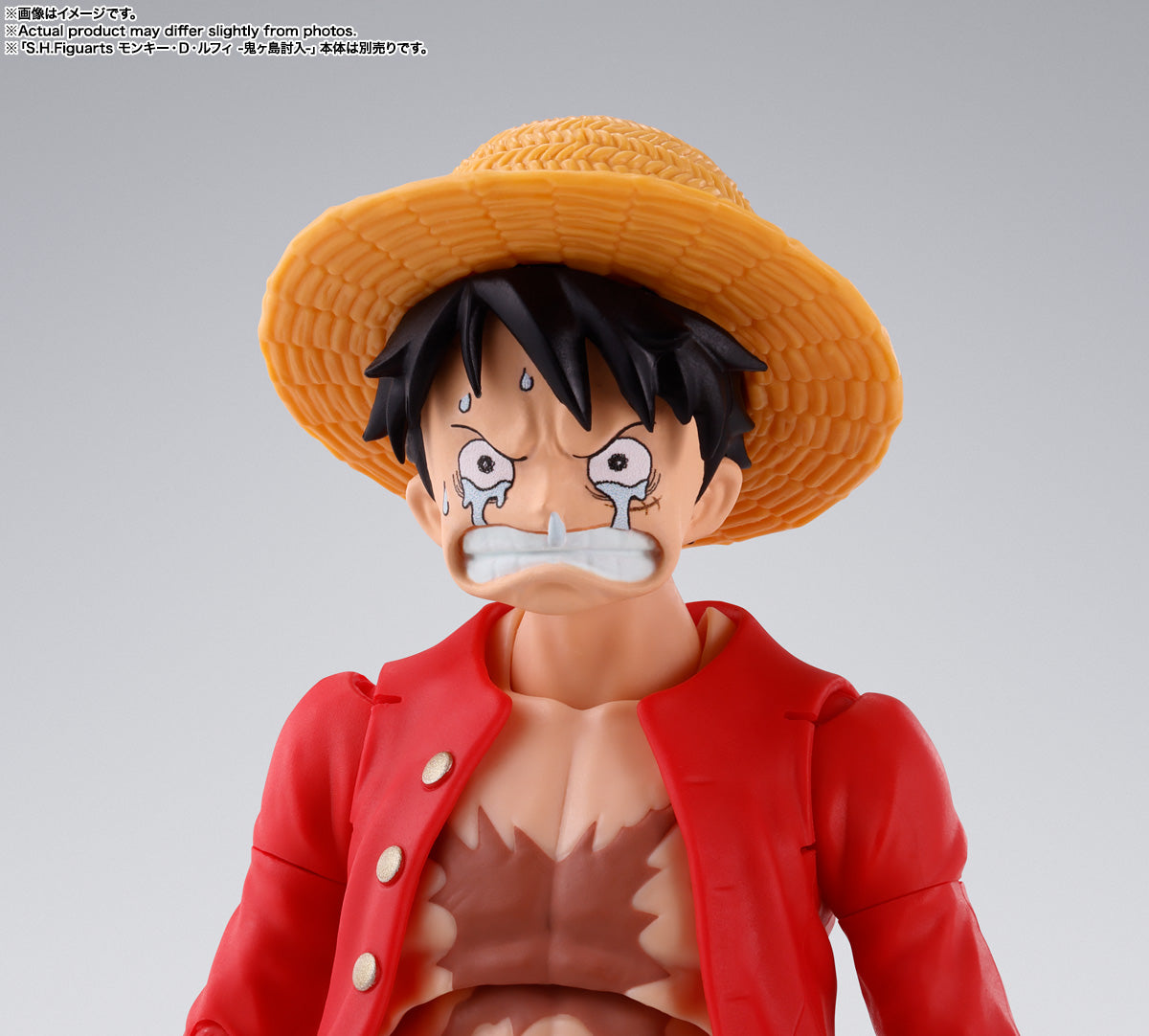 S.H.Figuarts -  SABO -REVOLUTIONARY ARMY CHIEF OF STAFF-