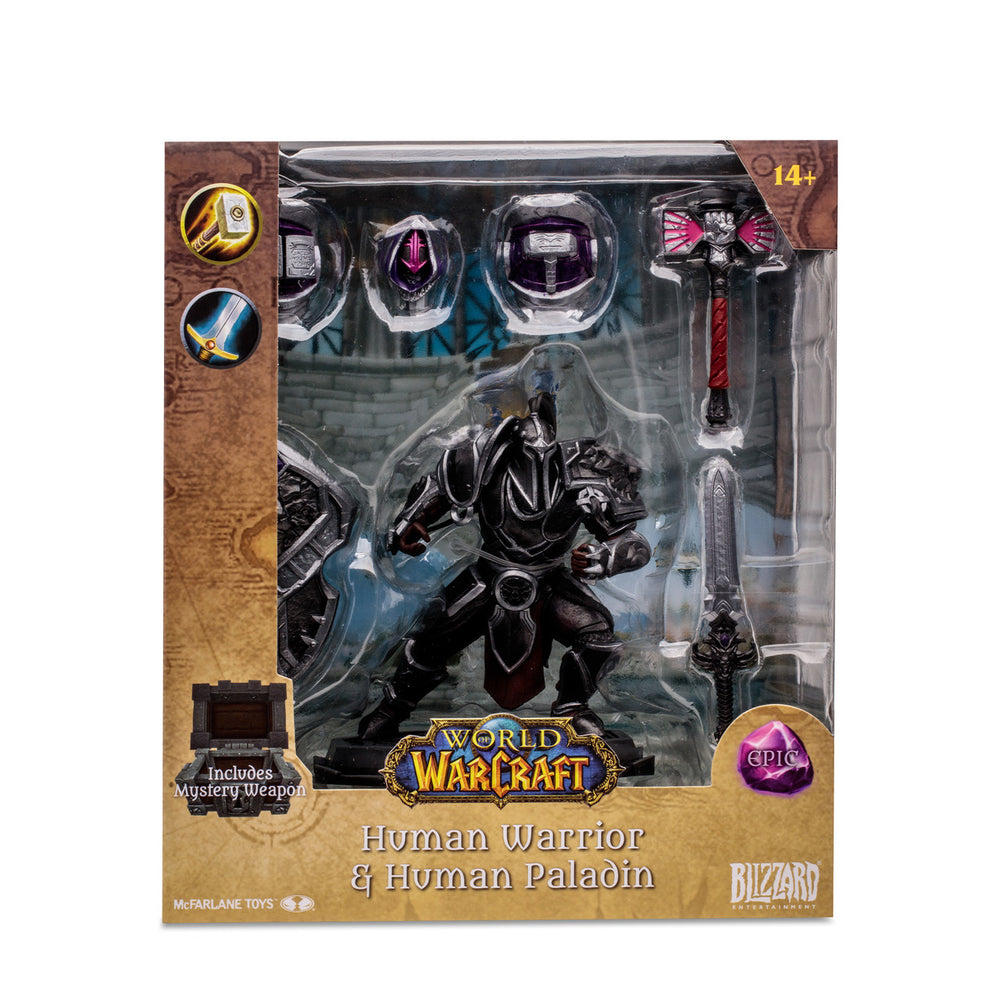 Human Warrior/Paladin: Epic (World of Warcraft)