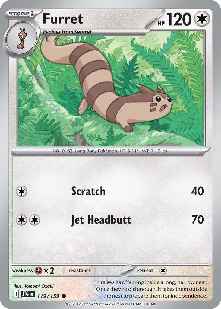 Furret (119/159)
