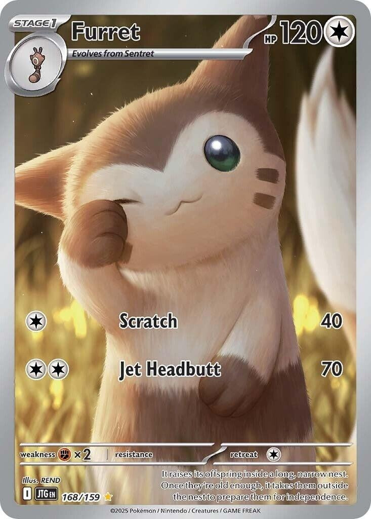 Furret (168/159)