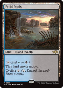 Image for Fetid Pools (363) - Magic: The Gathering