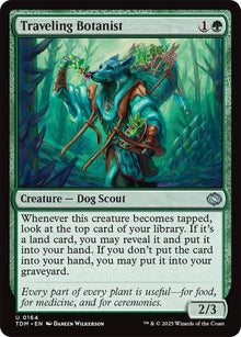 Image for Traveling Botanist (164) (TDM) - Magic: The Gathering