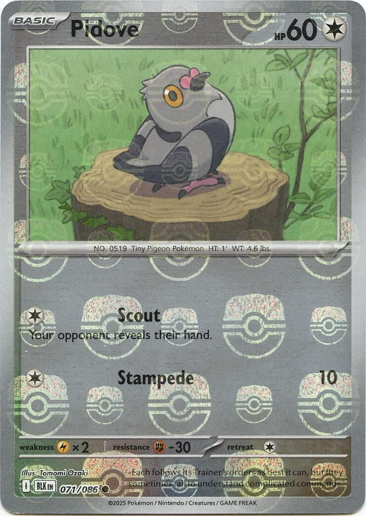 Pidove (Master Ball Pattern) (071/086) (BLK)