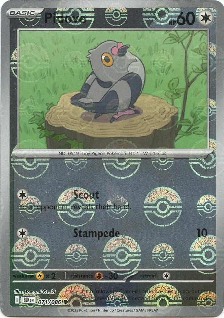 Pidove (Poke Ball Pattern) (071/086) (BLK)