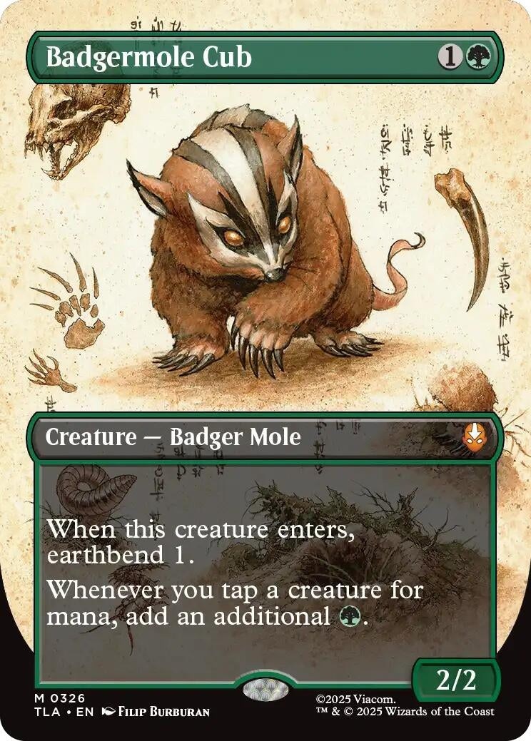 Image for Badgermole Cub (Borderless) (326) (TLA) - Magic: The Gathering