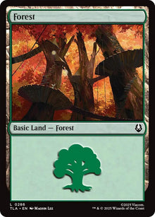 Image for Forest (0286) (286) (TLA) - Magic: The Gathering