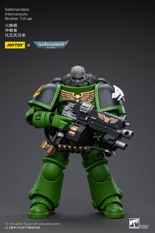 JoyToy - Warhammer 40000 - Space Marine Salamanders Intercessors Brother Tol'vak