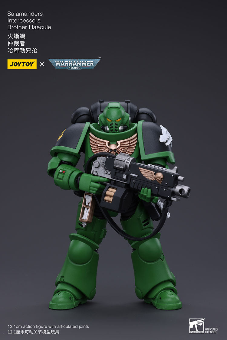 JoyToy - Warhammer 40000 - Salamanders Intercessors Brother Haecule