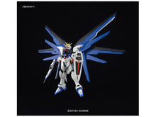 Gunpla - HGCE 1/144 FREEDOM GUNDAM