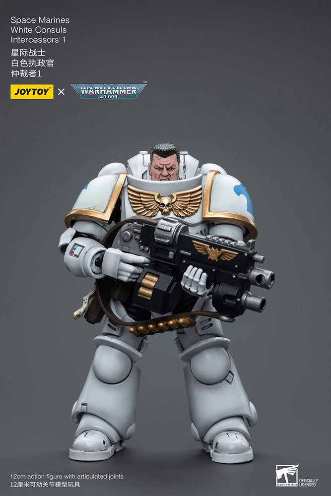 JoyToy - Warhammer 40000 - Space Marine White Consuls Intercessors 1