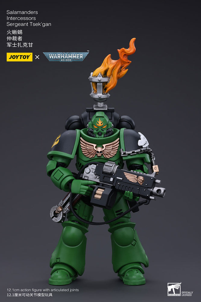 JoyToy - Warhammer 40000 - Salamanders Intercessors Sergeant Tsek'gan